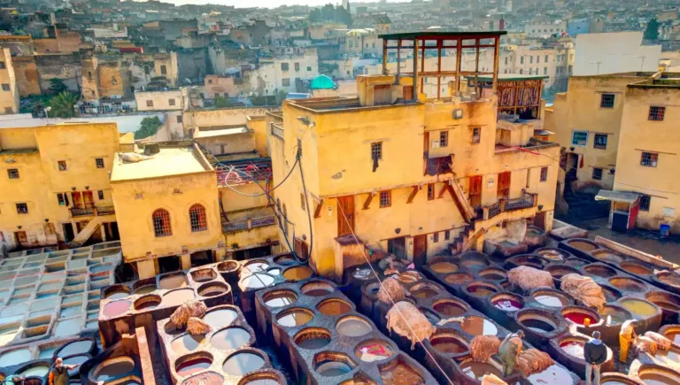 The Art of Leather Making in Fez: A Step-by-Step Journey